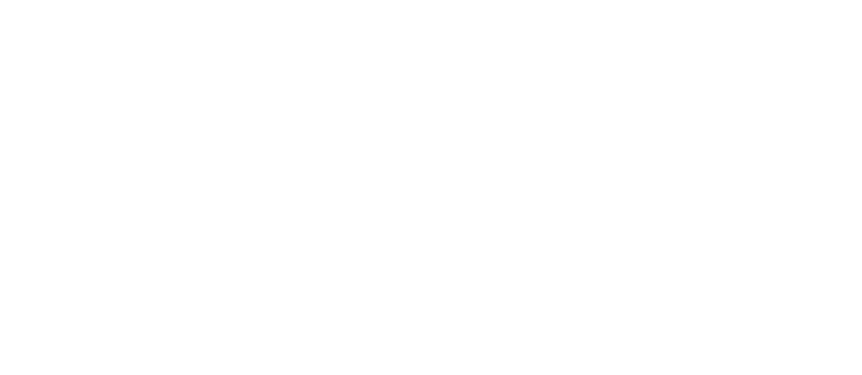 vit ap logo